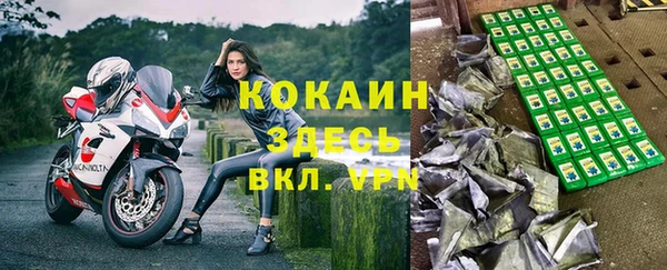 гашик Алексеевка