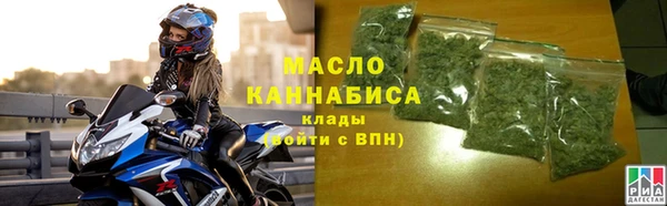 крисы Слюдянка