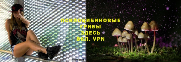 амф Алексин