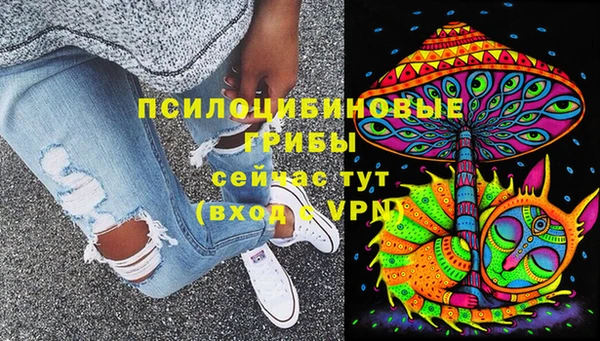 амф Алексин