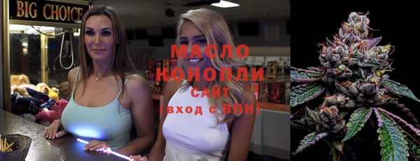 гашик Алексеевка