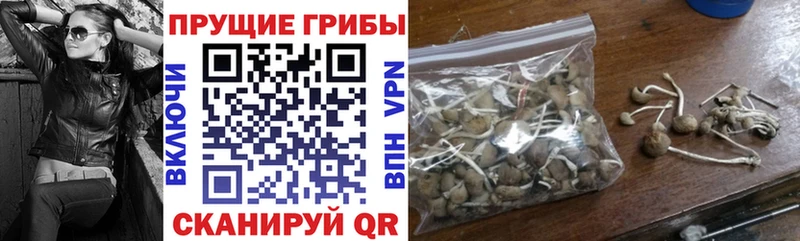 Псилоцибиновые грибы ЛСД  Бакал 